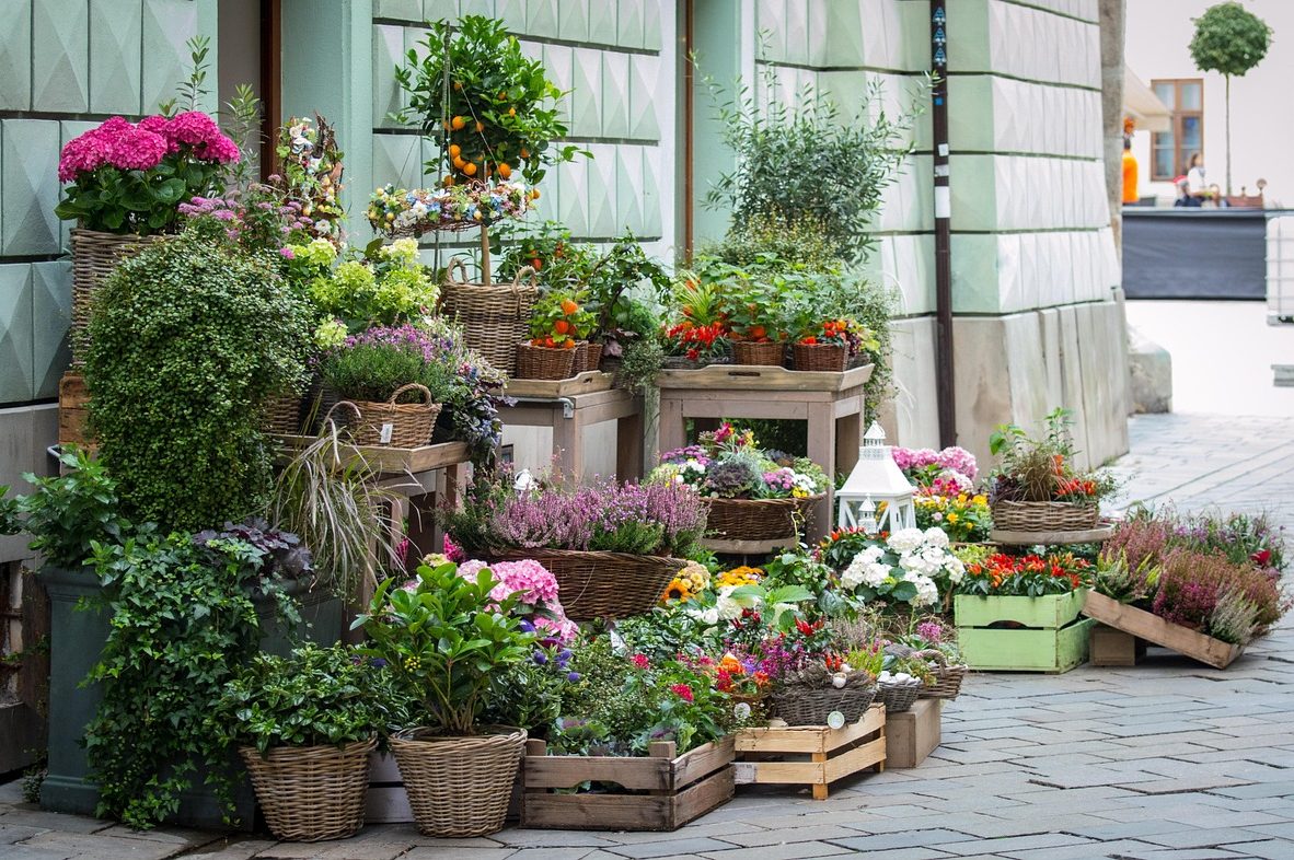 flowers-1139083_1280