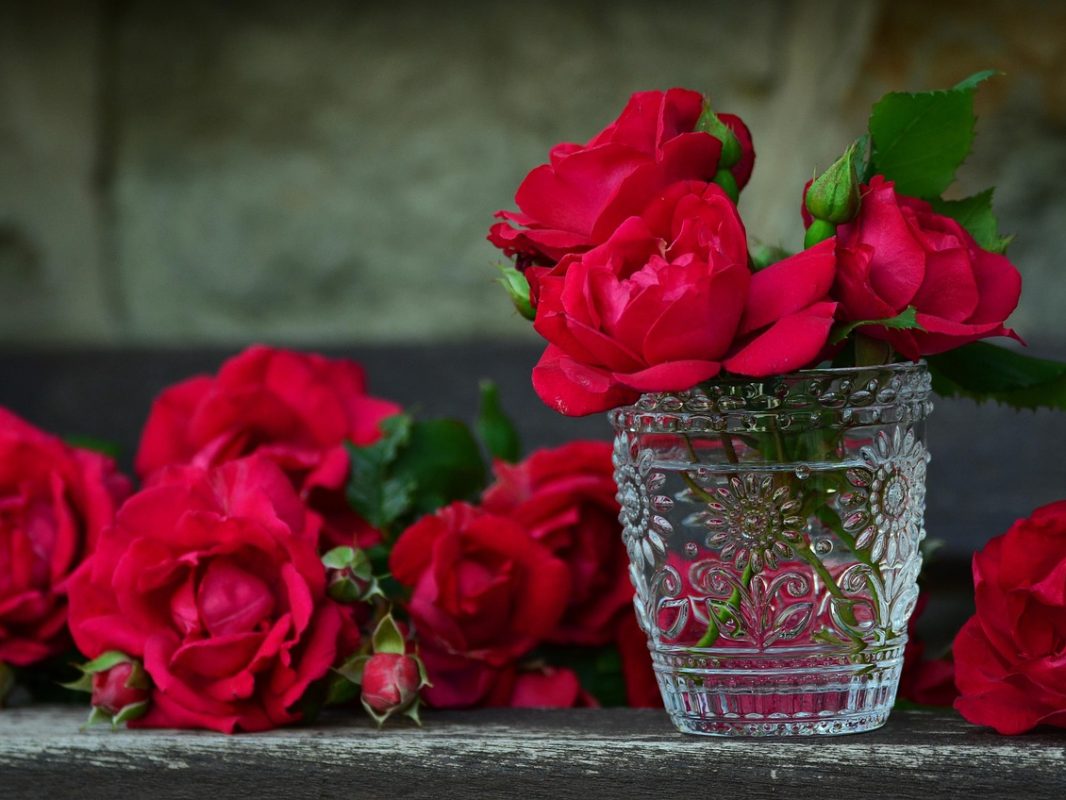 roses-821705_1280